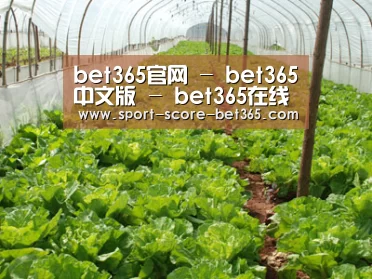 种植基地五