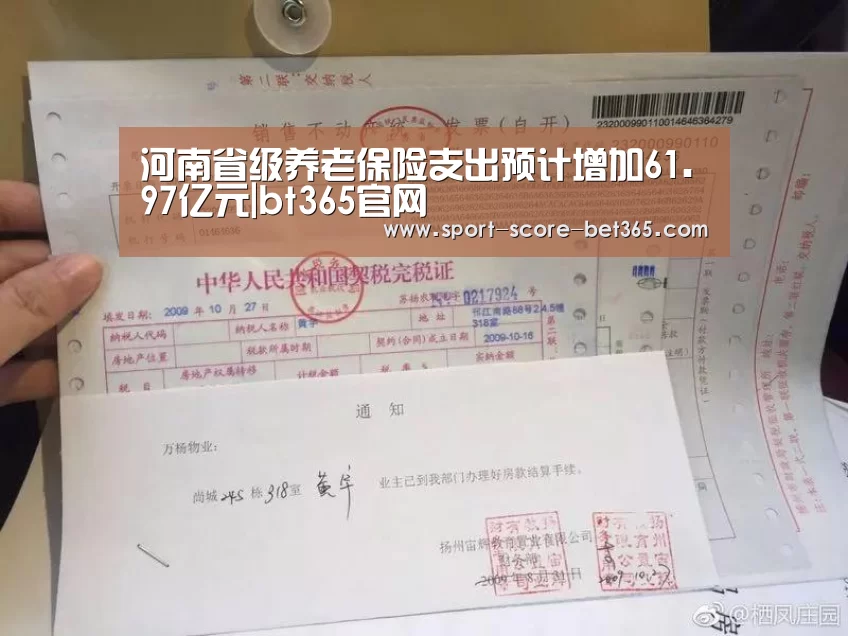 河南省级养老保险支出预计增加61.97亿元|bt365官网(图4) bet365网站